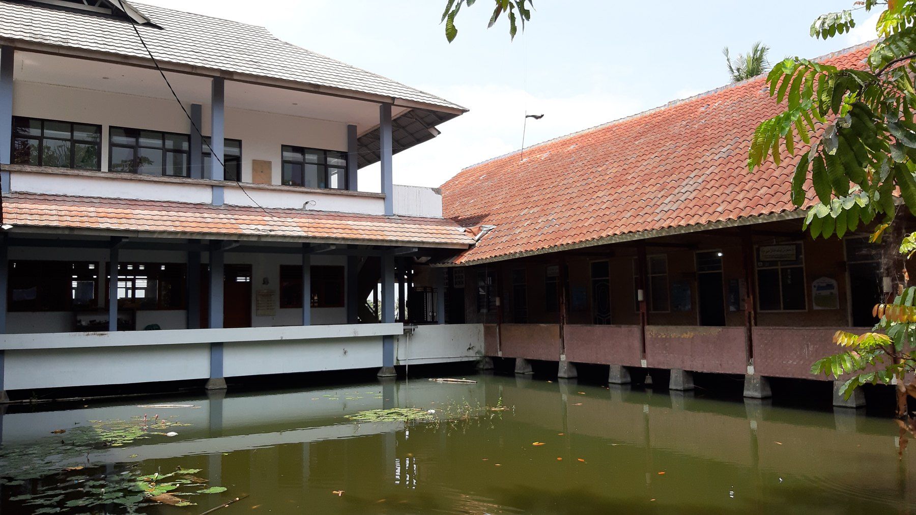 Gedung dan lingkungan belajar SMPIT Wasilah Intelegensia.